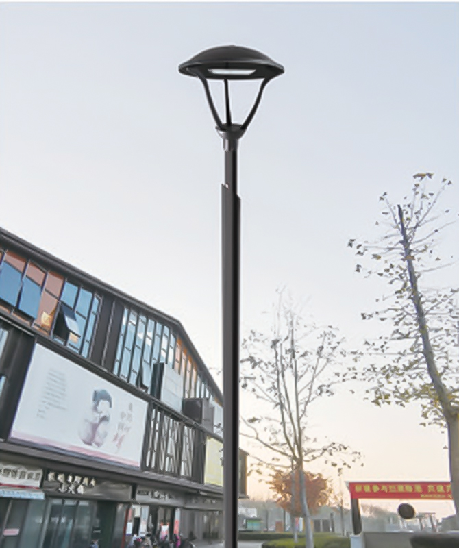 TYD-007 Feux de cour